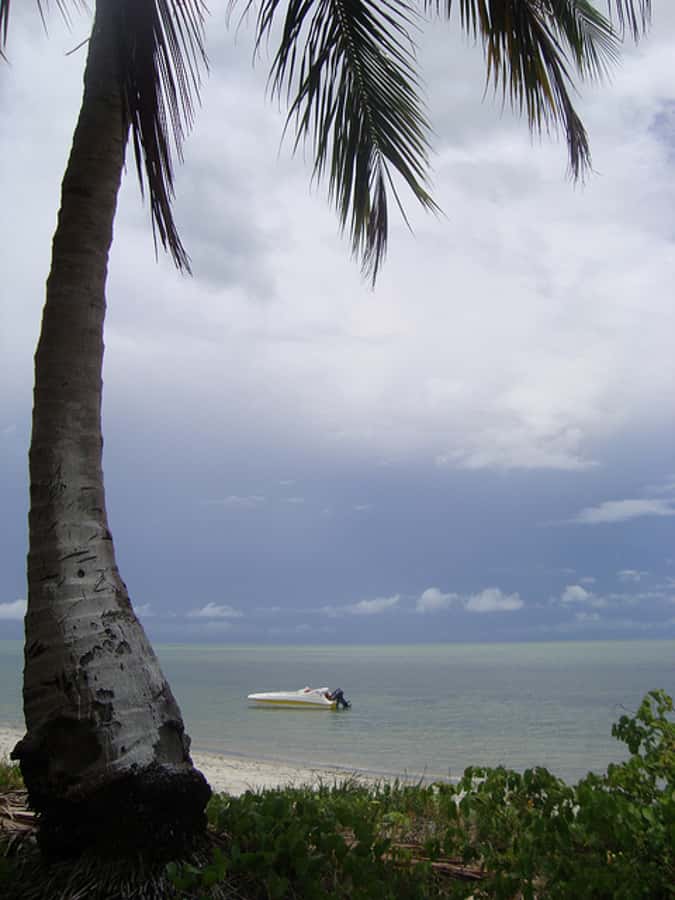 Colonial North Coast beaches - Full-Day Tour - Praia do Capitão and the Catamaran Praia Beach Club: Worth the Wait?