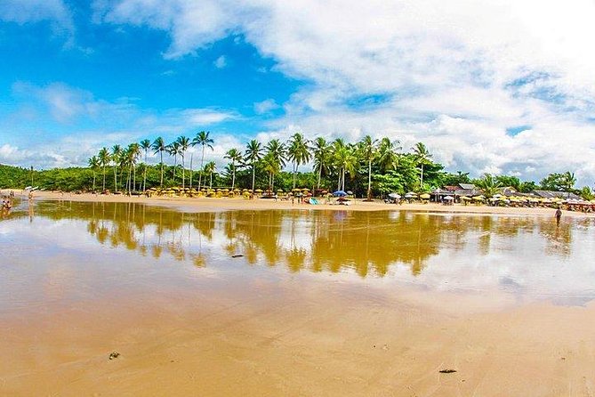 Combo Arraial da Ajuda / Trancoso / Espelho / City tour - by Coconut Experience - Key highlights to know before you go