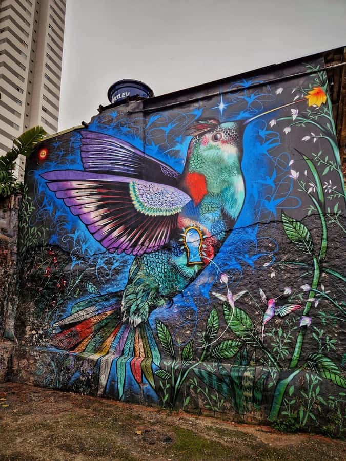 Companionship of a bilingual guide in São Paulo - The 7-hour rhythm: how the day usually unfolds