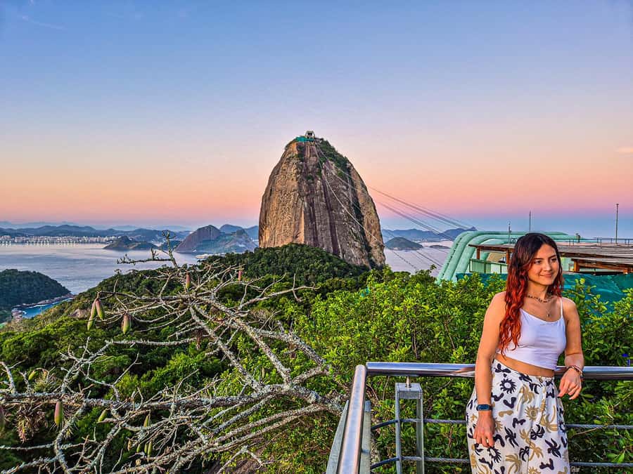 Corcovado, Sugarloaf Mountain, and Selarón Steps 6-Hour Tour - Price and value: what you pay for, and what you get back