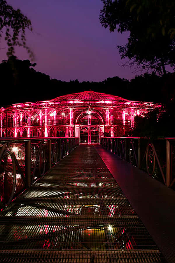 Curitiba: 4-Hour City-By-Night Tour with Dinner - Key points that make this tour worth a look