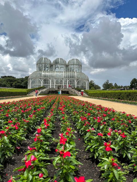 Curitiba: A Complete City Tour - Curitiba City Tour, The Smart City You Can Actually See