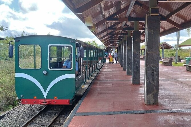 Day tour Cataratas Brazil and Argentina, both small group - Iguazu Falls on the Brazilian Side: Faster Access and More Time on the Trail