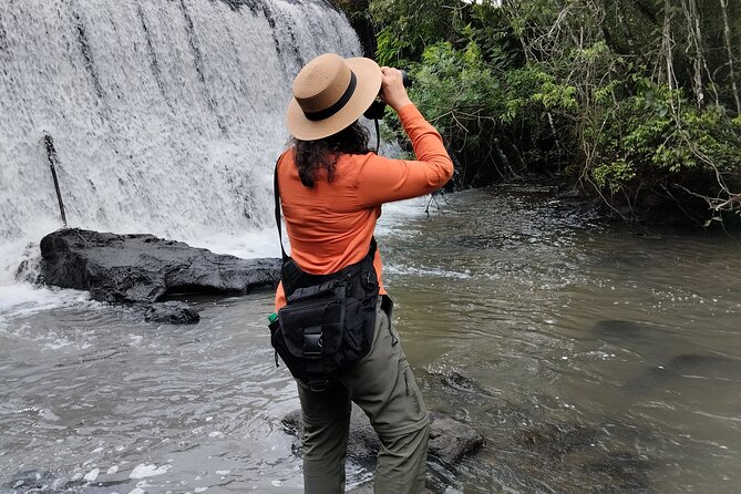 Day tour Cataratas Brazil and Argentina, both small group - Weather Reality at Iguazú, and How to Prepare