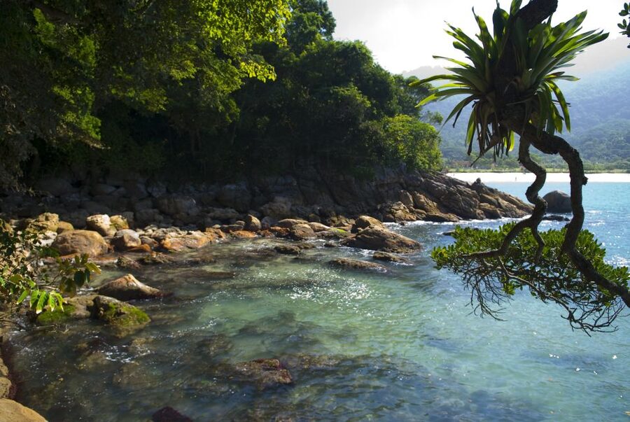 Day Tour to Trindade: Nature and Sea Adventure from Paraty - Praia do Meio: the turning point before the natural pool
