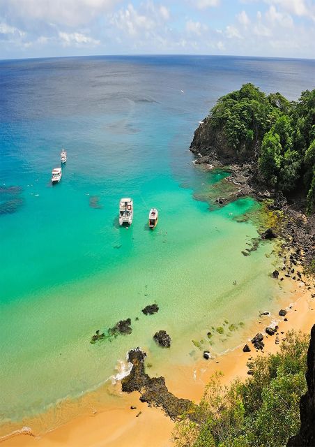 Discover Noronha: 7-Hour Ilhatour Adventure - Getting picked up in Fernando de Noronha (and why it’s worth it)