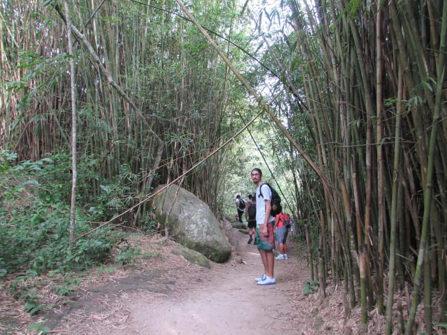 Discover Pedra do Telégrafo: Scenic Hike with Expert Guide - The 6:00 am morning, pickups in Copacabana, Ipanema, and Leblon, and what “shared” means