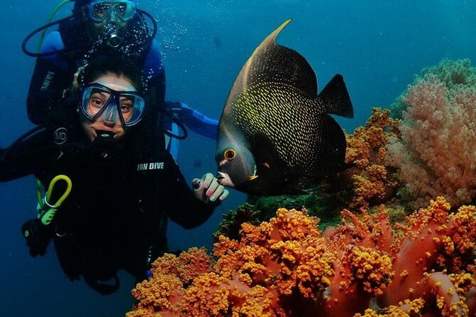 Discover scuba diving in Búzios - Timing, logistics, and what the 2 hours really means