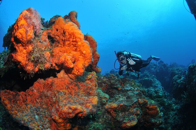 Discover scuba diving in Búzios - Who this suits best (and who should plan for medical paperwork)