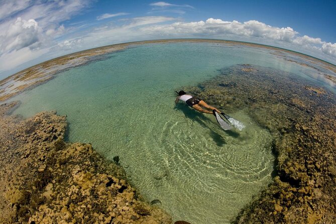 Discover Underwater Beauty: Explore Maracajaú's Parrachos Reef - Quick hits before you go