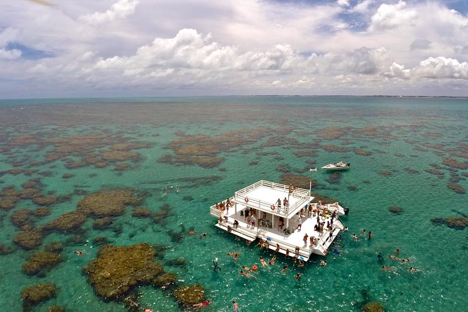 Discover Underwater Beauty: Explore Maracajaú's Parrachos Reef - Parrachos de Maracajaú Reef: how the reef viewing works in real life