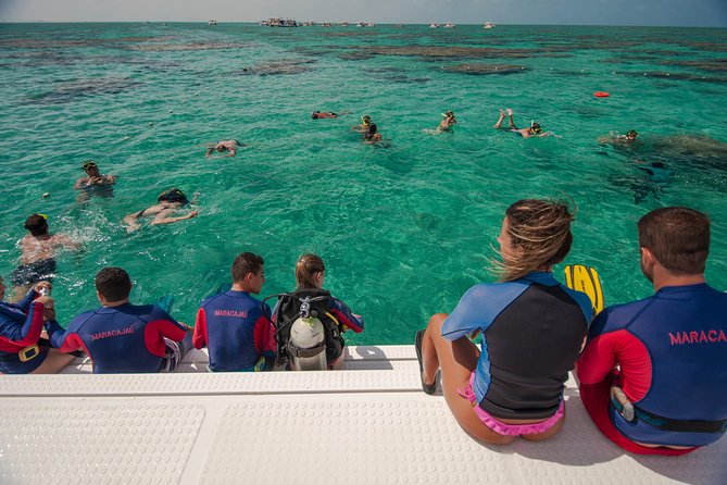 Discover Underwater Beauty: Explore Maracajaú's Parrachos Reef - Price and value: what you’re really paying for