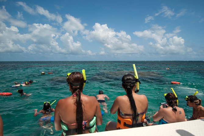 Discover Underwater Beauty: Explore Maracajaú's Parrachos Reef - Who this day trip is best for