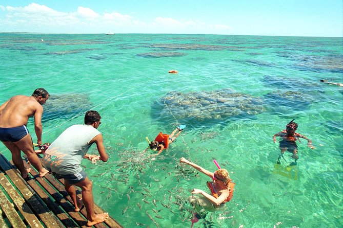 Discover Underwater Beauty: Explore Maracajaú's Parrachos Reef - Parrachos de Maracajaú Reef: how the reef viewing works in real life