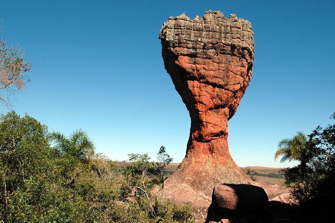 Discover Vila Velha State Park Tour and Witmarsum Colony - A day trip that swaps city time for real geologic weirdness