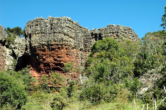 Discover Vila Velha State Park Tour and Witmarsum Colony - Colonia Witmarsum: German lunch, family stores, and an easy culture reset