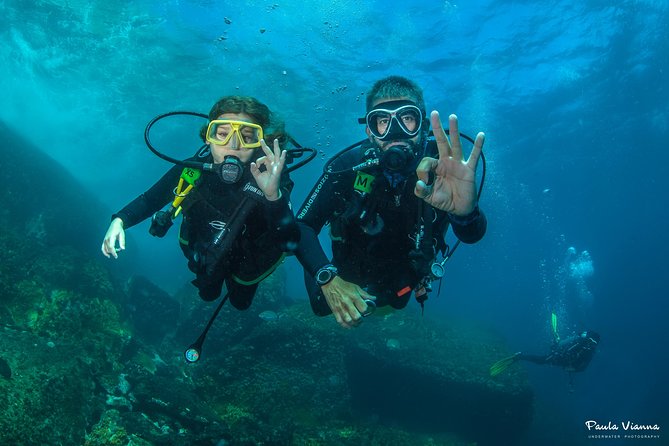 Diving for Beginners and Accredited - Búzios RJ - Key Highlights You’ll Care About
