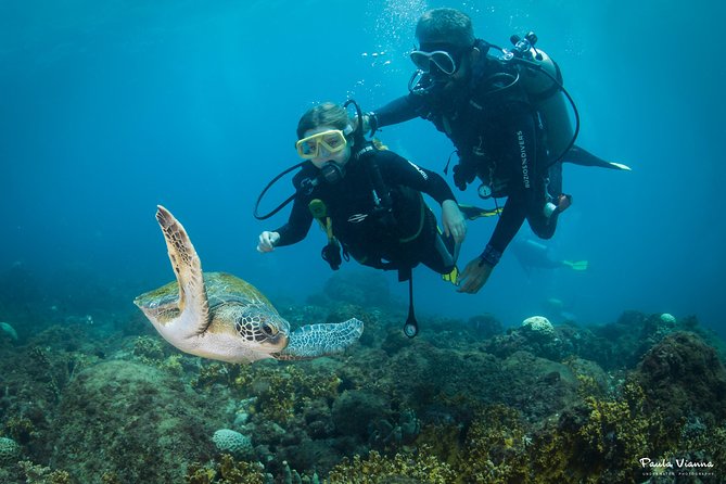Diving for Beginners and Accredited - Búzios RJ - The boat ride, the timing, and why the calm part matters