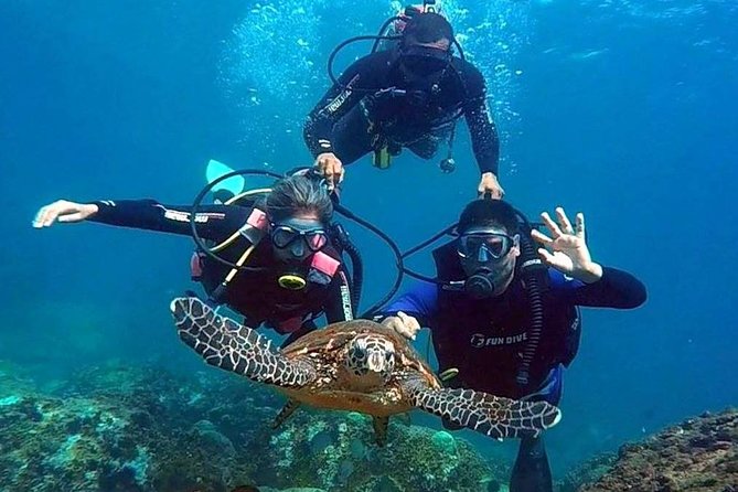 Diving for Beginners and Accredited - Búzios RJ - Meeting at Sailboat Harbor and starting at 8:00 am