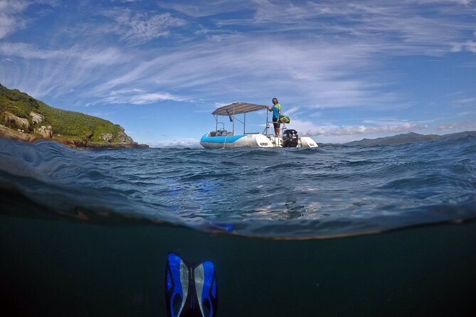 Diving with Turtles in Floripa - Key highlights at a glance