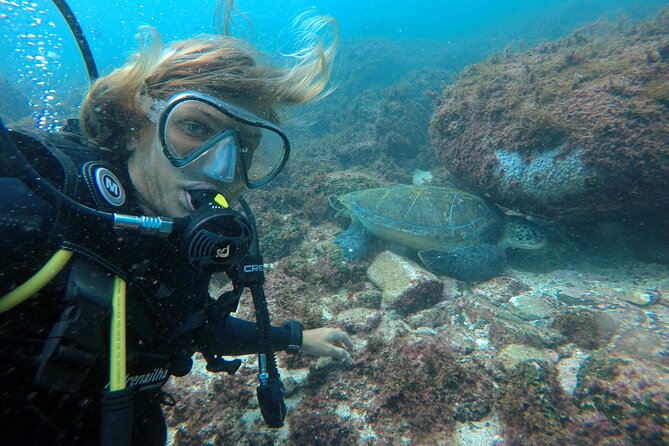 Diving with Turtles in Floripa - Where this trip fits in your Florianopolis plans