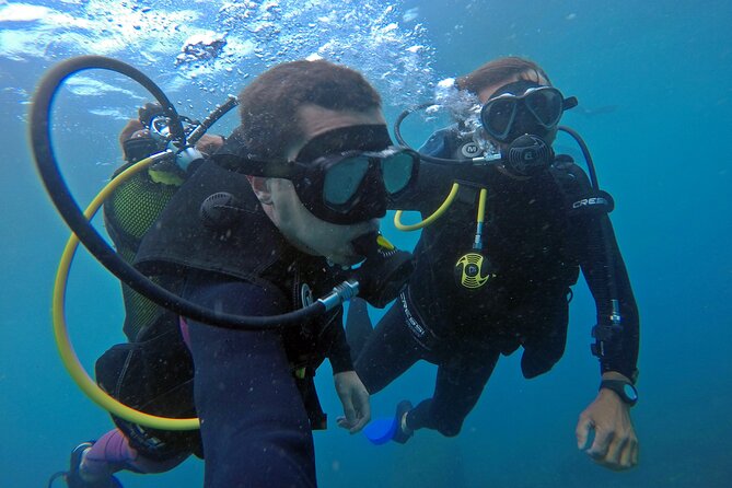 Diving with Turtles in Floripa - What happens at the stops: Barra da Lagoa Beach and Piscinas Naturais