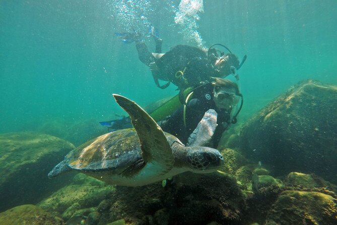 Diving with Turtles in Floripa - How long is long enough, and what if conditions change?