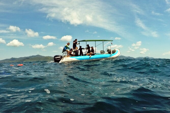 Diving with Turtles in Floripa - Comfort and safety: what you should do before you go