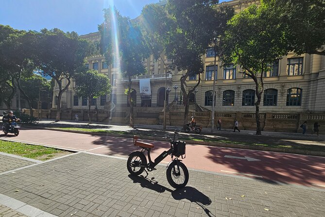E-Bike Tour: Local Guide, Historic Center to Ipanema - Stop 4: Painel Etnias, a photo break with scale