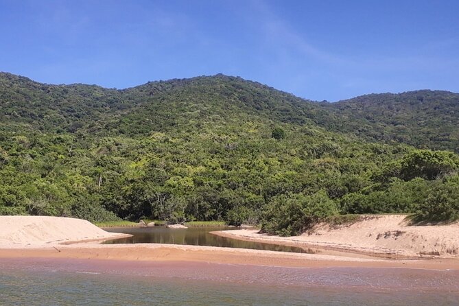 Ecological Boat Tour 10 Deserted Beaches - Waterfall Trails-by Zimbros Ecotour - Why this boat plus waterfall combo works on the Zimbros coast