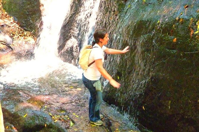 Ecological walk in sao paulo - Key highlights to know before you go