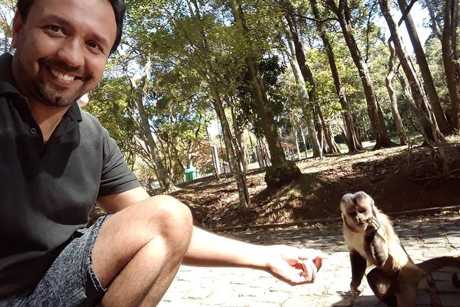 Ecological walk in sao paulo - Timing, season, and the reality of waterfalls in the Atlantic rainforest