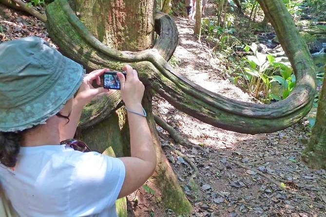 Ecological walk in sao paulo - What to bring (and what past hikers recommend that actually makes sense)