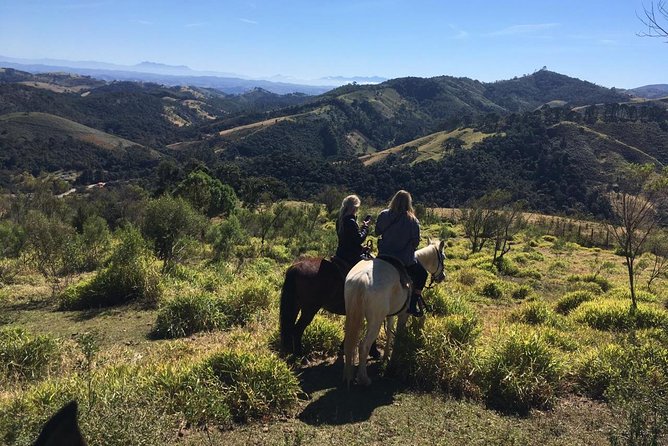 Exclusive Horse Experience with Pic-nic at Belvedere - Key highlights worth knowing