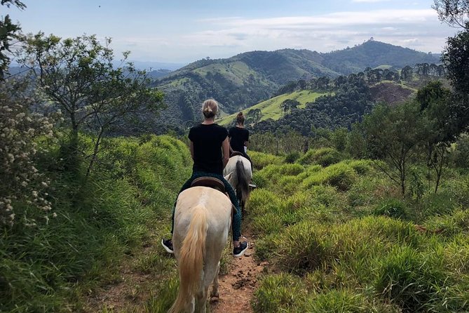 Exclusive Horse Experience with Pic-nic at Belvedere - Price and what you actually get for $115 per person