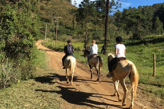 Exclusive Horse Experience with Pic-nic at Belvedere - Timing, pickup, and how the day flows