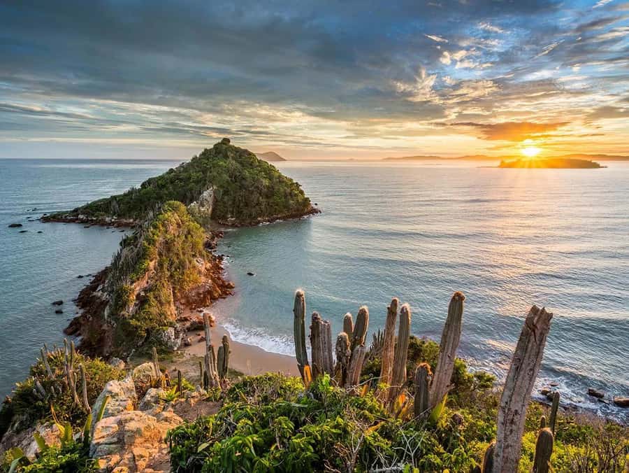 Explore Búzios: Boat Tour (Departing from Búzios) - Babylon Búzios meeting point and the reality of a 5-hour schedule