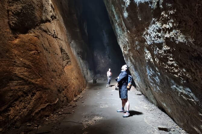 Explore the Best of Tijuca Forest - Hike to Peaks, Caves & Falls - Getting picked up and settling into the right pace