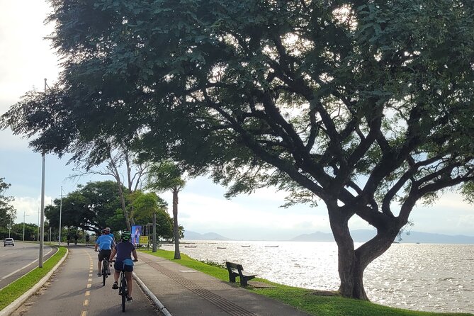 Florianopolis Bike Tour: Photography, History & Street Food - Stop 3: Parque da Luz picnic break with Brazilian nuts and snacks
