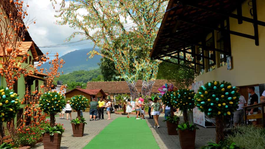 Florianópolis: Blumenau and Pomerode Germanic Route Day Trip - Getting to Blumenau and Pomerode: long van hours, tight sightseeing windows