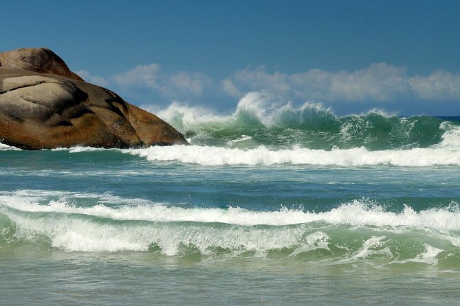 Florianópolis City Tour from Balneário Camboriú - Morning start, pickup timing, and how to not waste your day