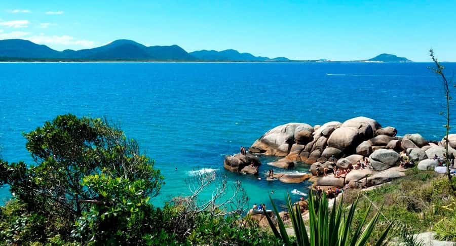 Florianópolis: Historical Center, Beach & Nature Tour - Morning departure at 7:50: downtown first, then the bridge
