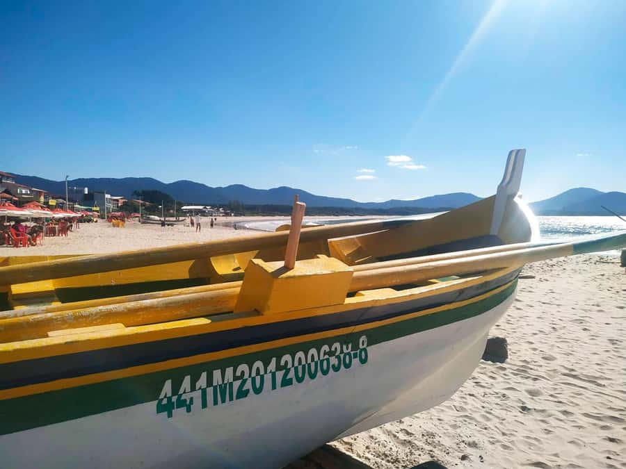 Florianópolis: Historical Center, Beach & Nature Tour - Joaquina Beach: the one-hour reset you will feel all day