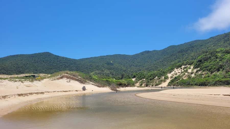 Florianopolis: Lagoinha do Leste Natural Park Hike - Heading Back Through the Forest, With the Boat Option