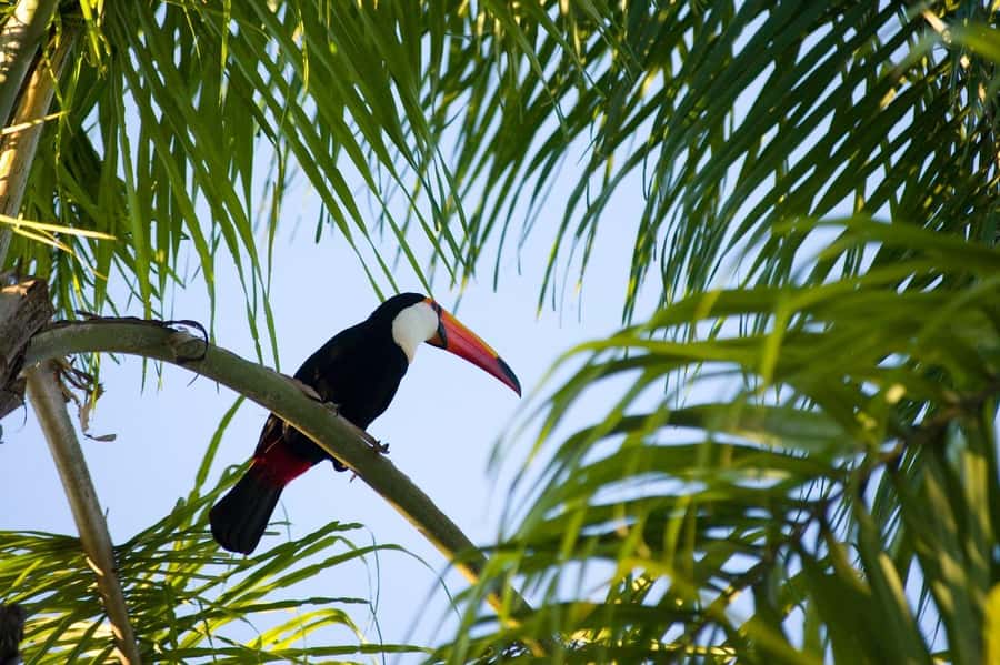 Florianopolis: Lagoinha do Leste Natural Park Hike - Price and Value: What $80 Buys You