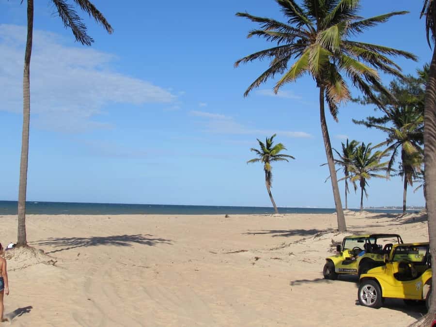 Fortaleza: Cumbuco Beach Day Trip - Getting Picked Up: Comfortable Transport, Clear Start Points