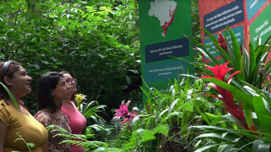 Foz do Iguaçu: Bird Park Tour with Tickets - End of the Walk: Restaurant Break and Lake of the Flamingos View