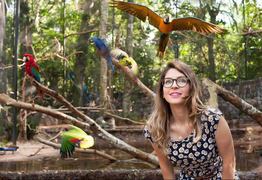 Foz do Iguaçu: Bird Park Tour with Tickets - Price and Value: Is $54 Per Person a Smart Deal?