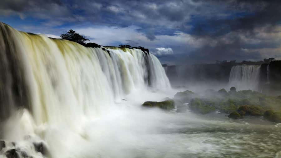 Foz do Iguaçu: Brazilian Side of the Falls - Watching for birds, butterflies, and coatis without turning it into a safari