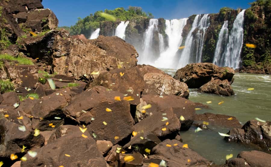 Foz do Iguaçu: Brazilian Side of the Falls - Language support: what to expect, and how to protect your experience